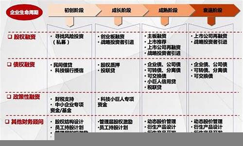 企业融资与投资策略分析(企业融资的基本策略)