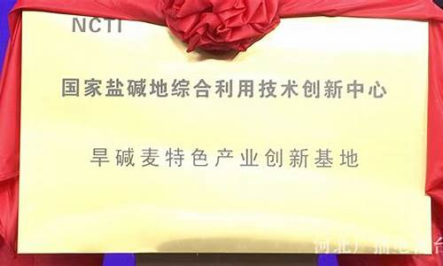 如何利用技术创新促进经济转型(促进开发推动技术创新和经济社会发展)